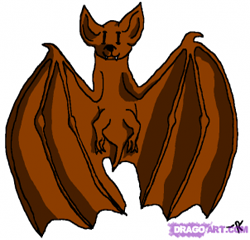 How to draw bats : How to Draw Bats Step by Step Drawing Lessons