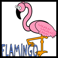 How to Draw Cartoon Pink Flamingos in Easy Steps Lesson