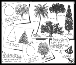 How to Draw Trees, Bark, Twigs, Leaves and Foliage Drawing Tutorial