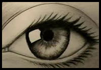 How to Draw an Eye and Its Lashes