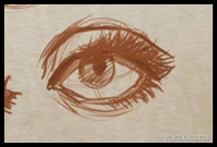 How to Draw an Eye And Create Perfect Eyelids and Eyelashes