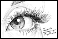 How to Draw Eyelashes Step by Step 