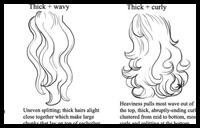 Tips for Drawing Different Hair and Fur Types