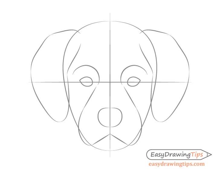 Dog head front view details sketch
