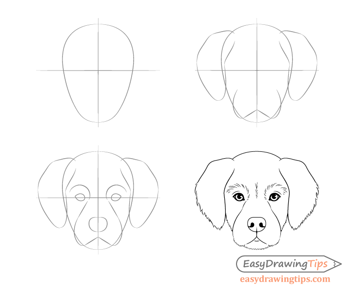 Dog head front view drawing step by step