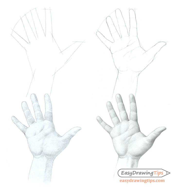 Hand drawing step by step