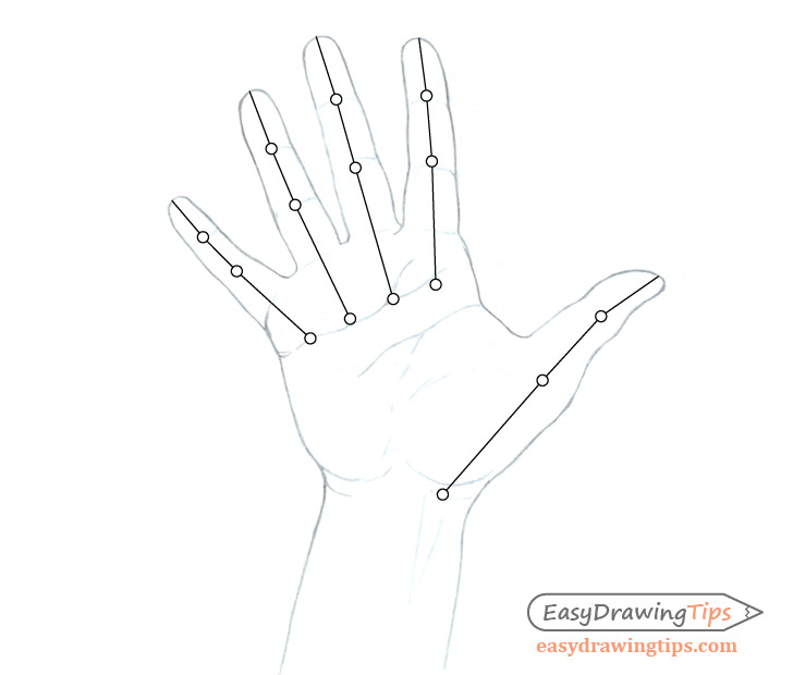 Hand finger and thumb structure