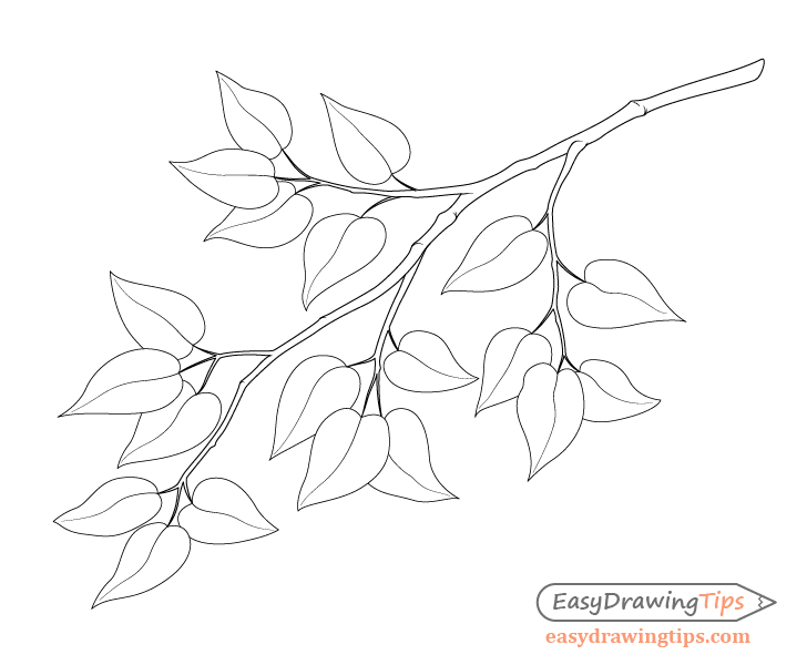 Branch with leafs drawing
