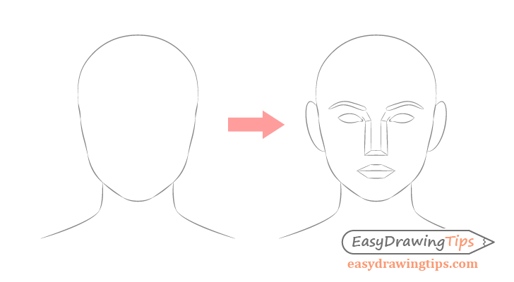 Face drawing shape to details