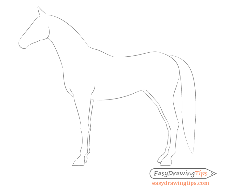 Horse side view body shape drawing