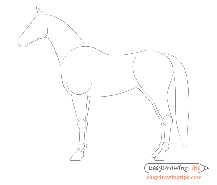 Horse side view far side drawing