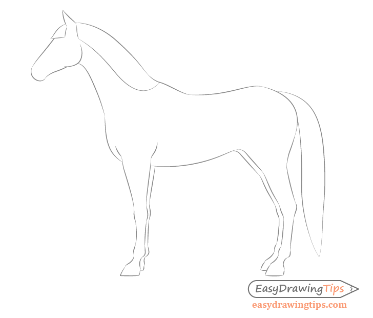 Horse side view mane shape drawing