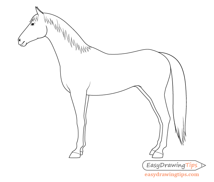 Horse side view outline drawing