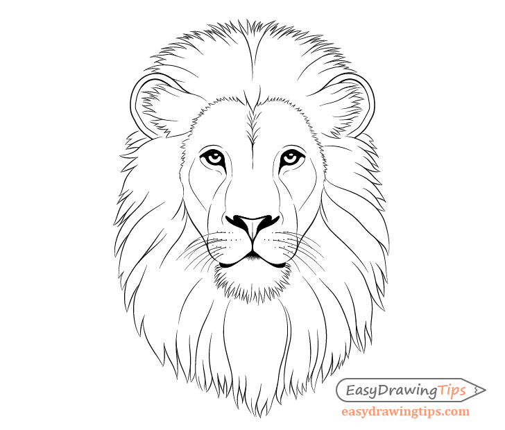 Lion face drawing