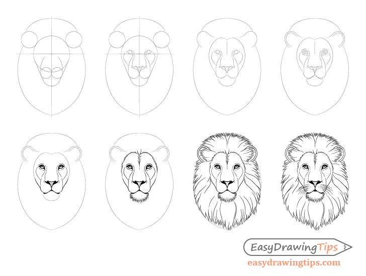 Lion face drawing step by step