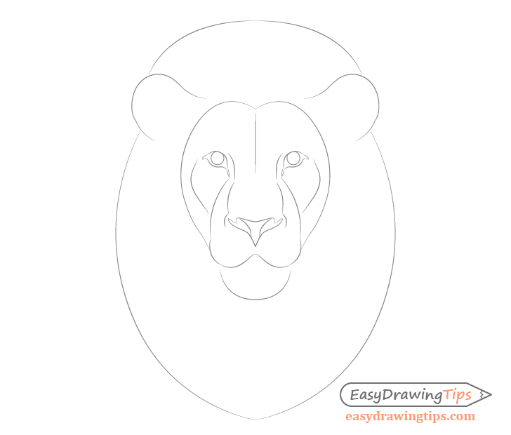 Lion face shape drawing