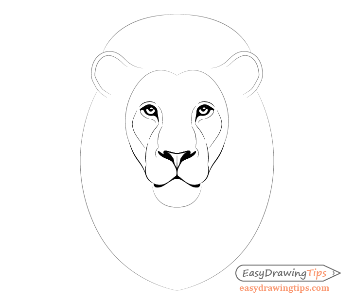 Lion facial features details drawing