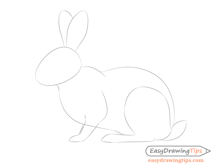 Rabbit full body drawing