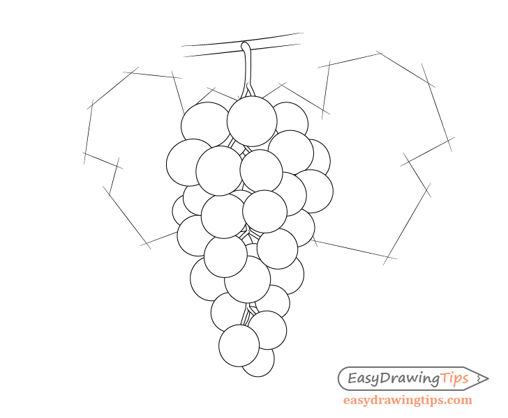 Как нарисовать лист винограда карандашом