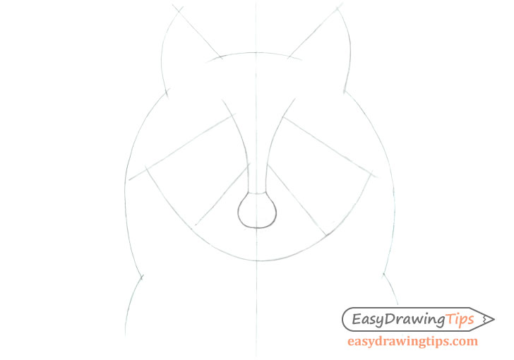 Raccoon face construction line drawing