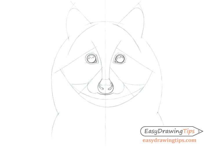 Racoon face line drawing