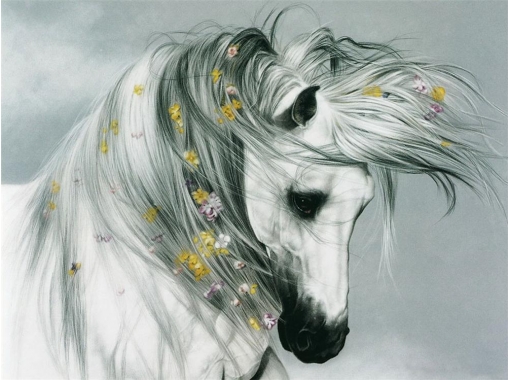 TRUST-An-Equine-Original Картинки для срисовки сложные