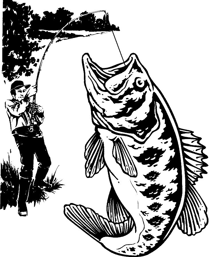 Рыболовная графика