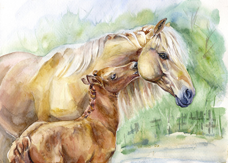 Фото рисунков лошадей