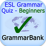 Beginners Grammar Quiz App