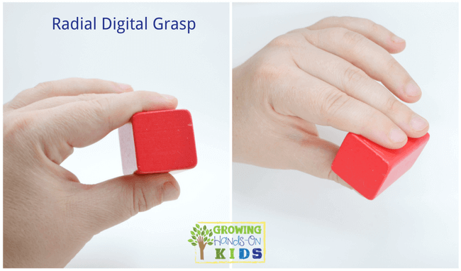 Radial digital grasp, typical pencil grasp development in children. 
