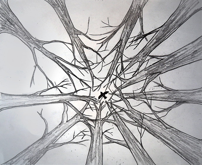 Single Point Perspective Drawing of a Street