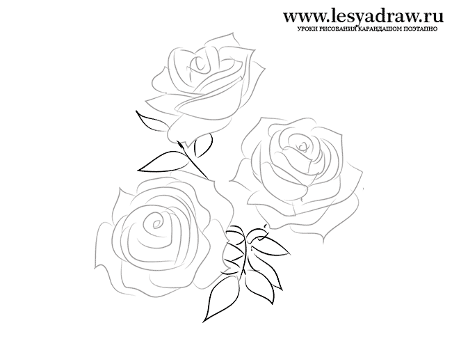 Как красиво нарисовать розы