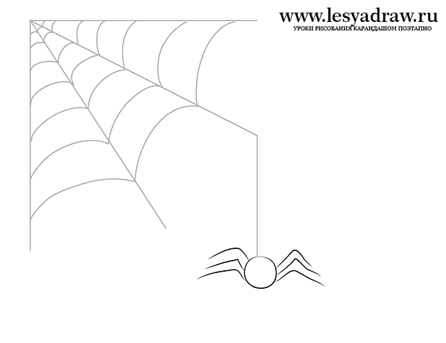Как нарисовать паутину с пауком