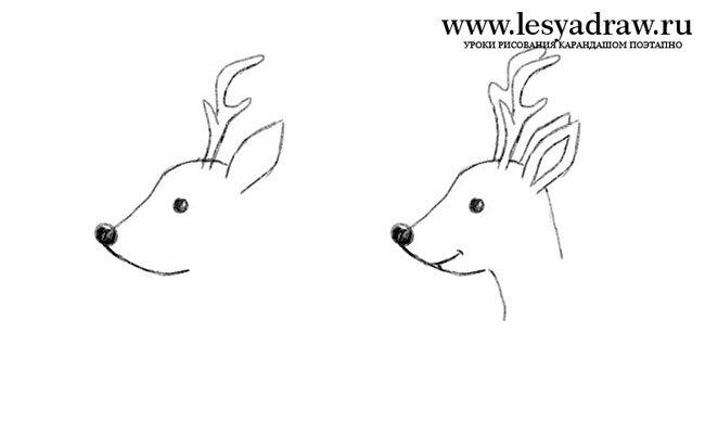 Как нарисовать голову оленя