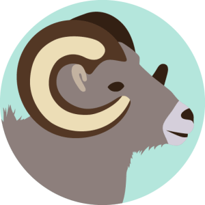 Aries