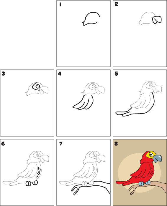 Как нарисовать попугая легко поэтапно