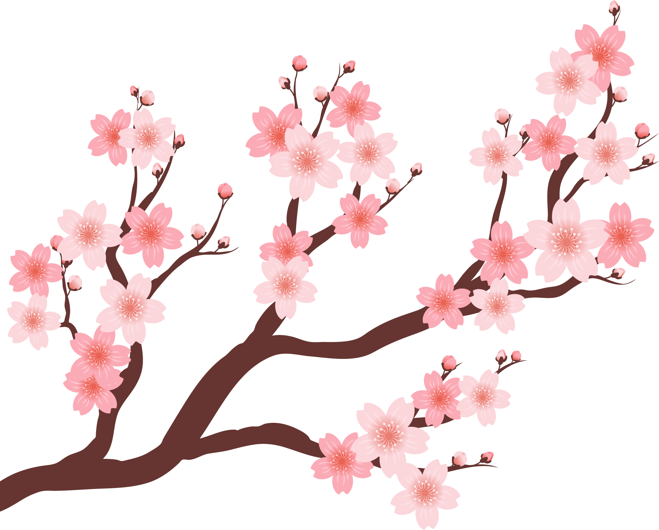 Цветок сакуры шаблон. Сакура черри блоссом дерево. Сакура референс дерево. Сакура символ. Ветви Сакуры референс.