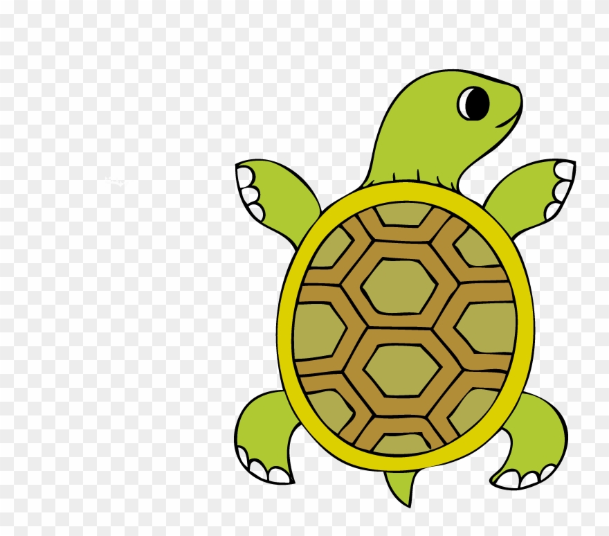 254 2544639 tortoise art transprent png free download turtle clipart