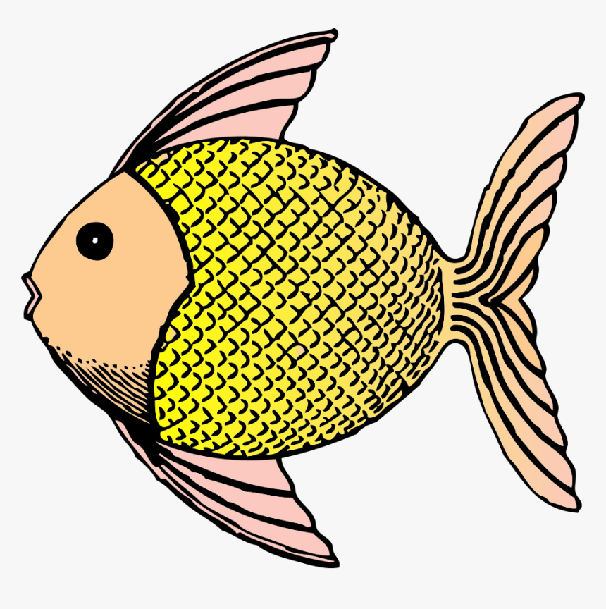 Рыбка картинка. Рыба рисунок. Рыбка схематично. Рыба клипарт. Рыба рисовать.