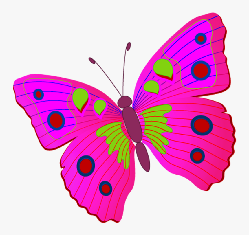 Цветные картинки на прозрачном фоне. Бабочка рисунок. Бабочки картинки для детей. Бабочкарисуеок для детей.