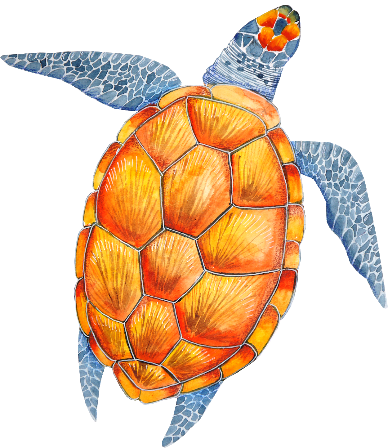 778 7780969 tortoise turtle clip art tortoise turtle tortoise turtle