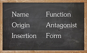chalkboard-need-to-know "Need to know" checklist