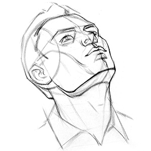 Finished Head Drawing Uptilt Finished Head Drawing Uptilt