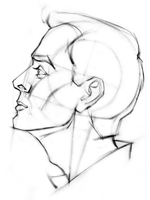A finished side view of head drawing A finished side view of head drawing