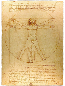 vitruvian man leonardo davinci vitruvian man leonardo davinci