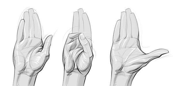 How to Draw the Hands - Learning Thumb Movement