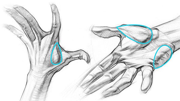 Showing Muscles of the Hand Tear Drop Examples