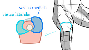 Quads cross-section part 2