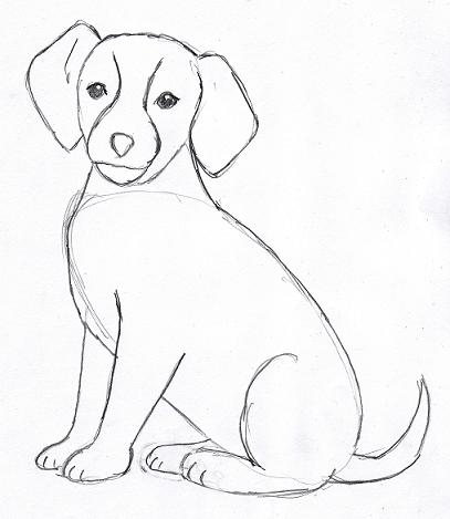 dog-drawing-4