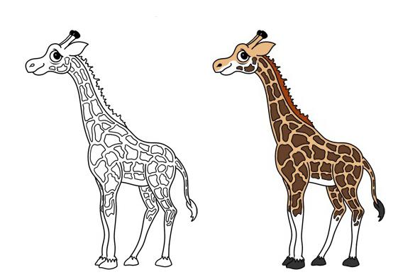 как нарисовать жирафа карандашом поэтапно для начинающих